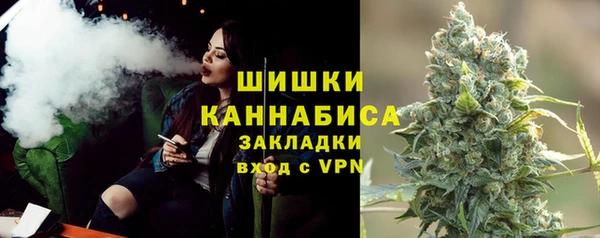 сатива Нягань