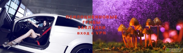 дмт Абдулино