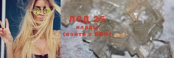 индика Няндома