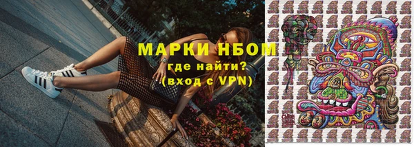 хмурый Абаза
