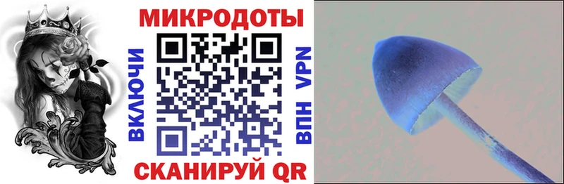 Псилоцибиновые грибы мухоморы  omg маркетплейс  Сураж 